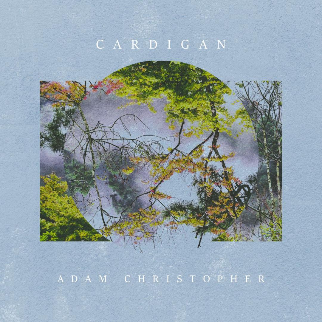 cardigan (Acoustic) -
                    Luxe radio