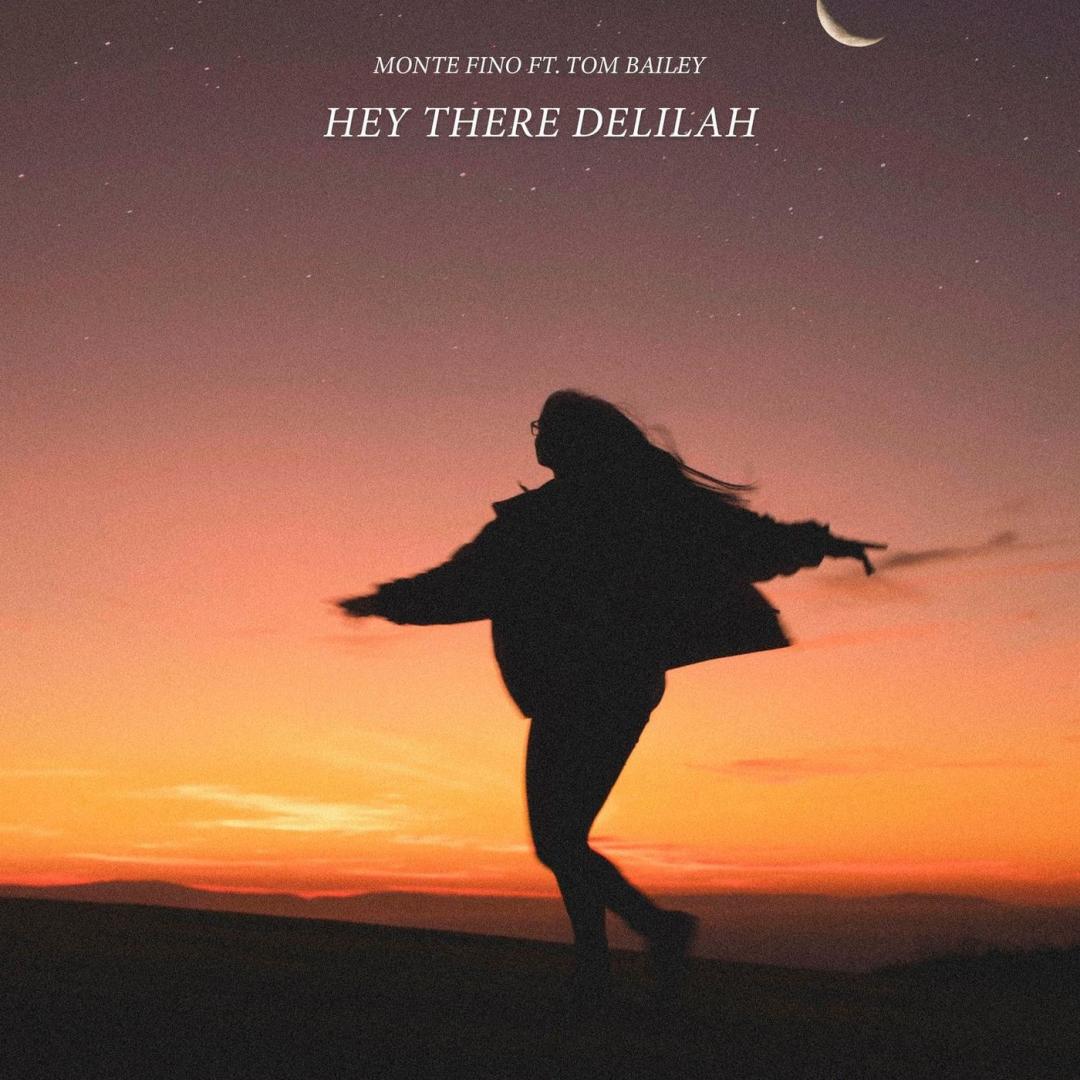 Hey There Delilah feat. Tom Bailey -
                    Luxe radio