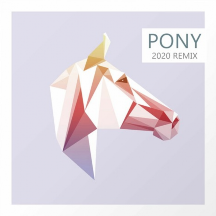 Pony (2020 Remix) -
                    Luxe radio
