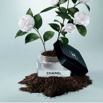 Chanel : l’exposition La Beauté se cultive - Le Journal du Luxe -
                    Luxe radio