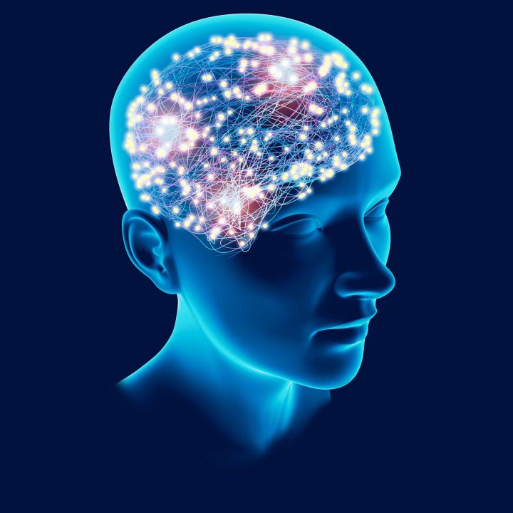 Exclu: Mémoire, quelles stratégies pour oublier sans perdre en performance ? - Sciences & Santé -
                    Luxe radio