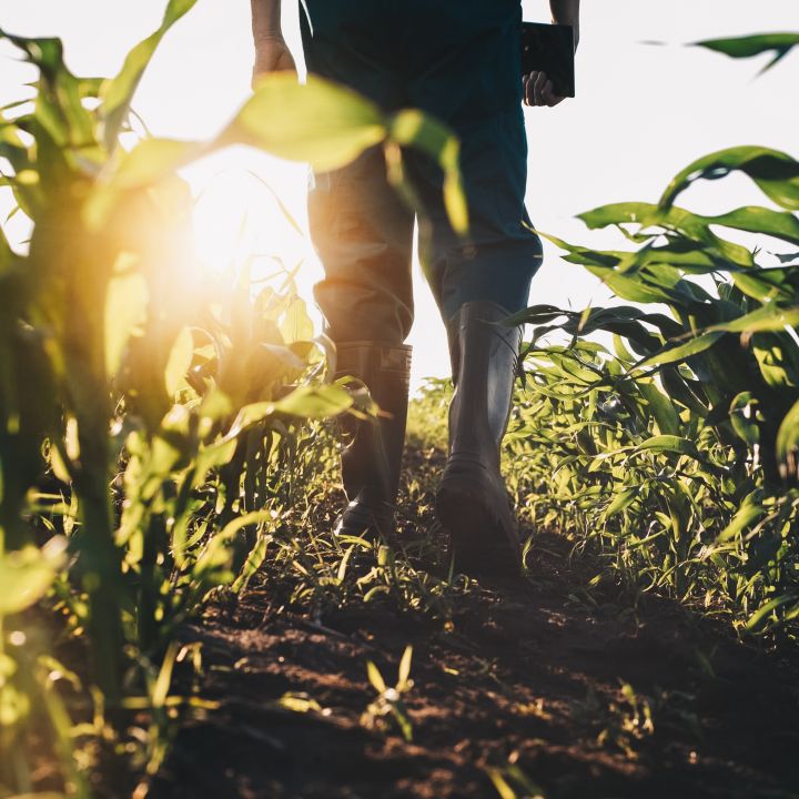 Vers une révolution verte : l'entrepreneuriat agricole est-il la clé d'un avenir durable ? - Avec Ou Sans Parure -
                    Luxe radio