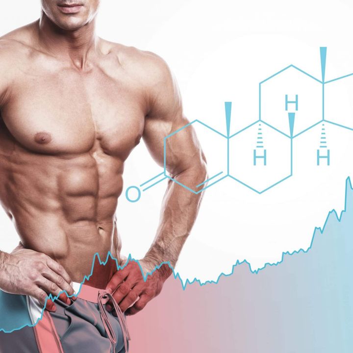 Testostérone : la désinformation masculine explose sur les réseaux - Sciences & Santé -
                    Luxe radio