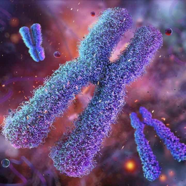 Nos télomères déterminent-ils notre durée de vie avant même notre naissance ? - Sciences & Santé -
                    Luxe radio