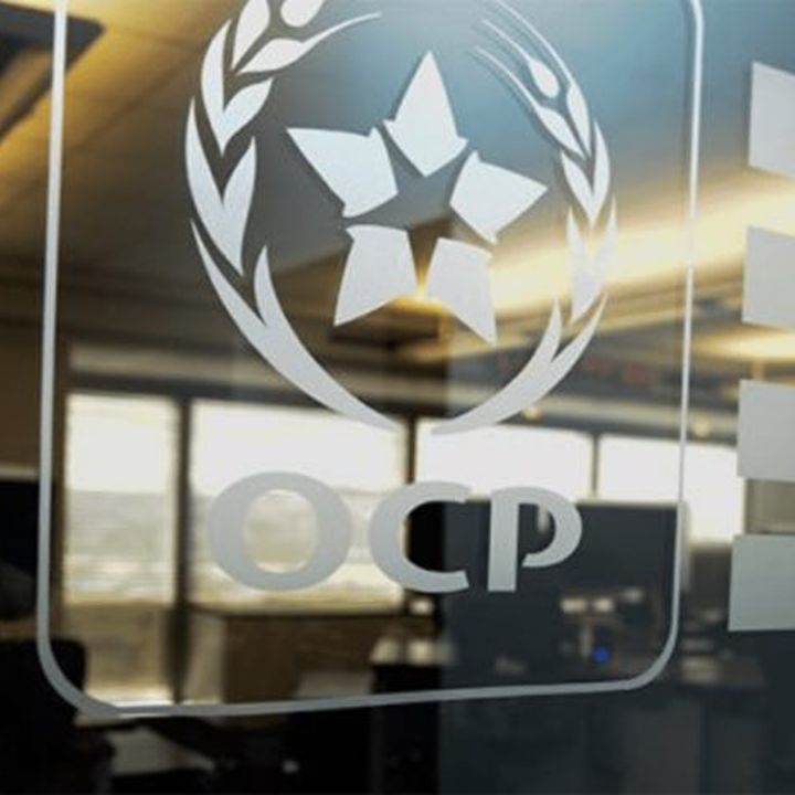 OCP: 53 milliards de dirhams d’investissements cette année - Écho Entreprises -
                    Luxe radio