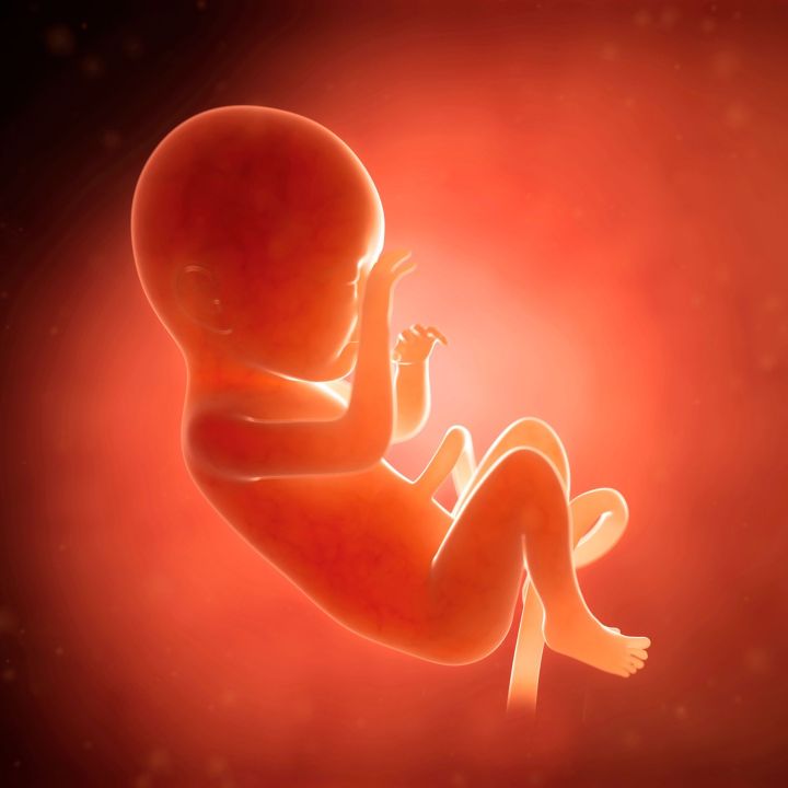 Liquide amniotique - Les Invités de Heure Essentielle -
                    Luxe radio