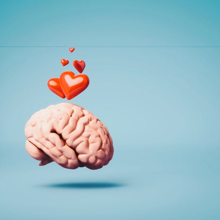 L’amour : choix souverain, mécanique biologique ou simple processus biochimique ? - Avec Ou Sans Parure -
                    Luxe radio