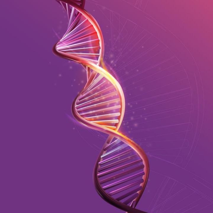 Exclusivité : des gènes impliqués dans certaines fausses couches mieux identifiés, selon une étude publiée dans Nature. - Sciences & Santé -
                    Luxe radio