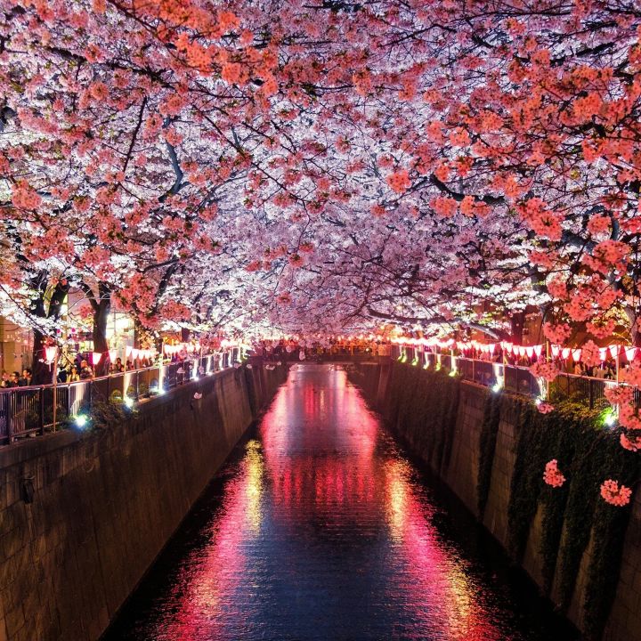 Coupe-file au Japon : les riches contre les patients ? - Le Fil Des Actus -
                    Luxe radio