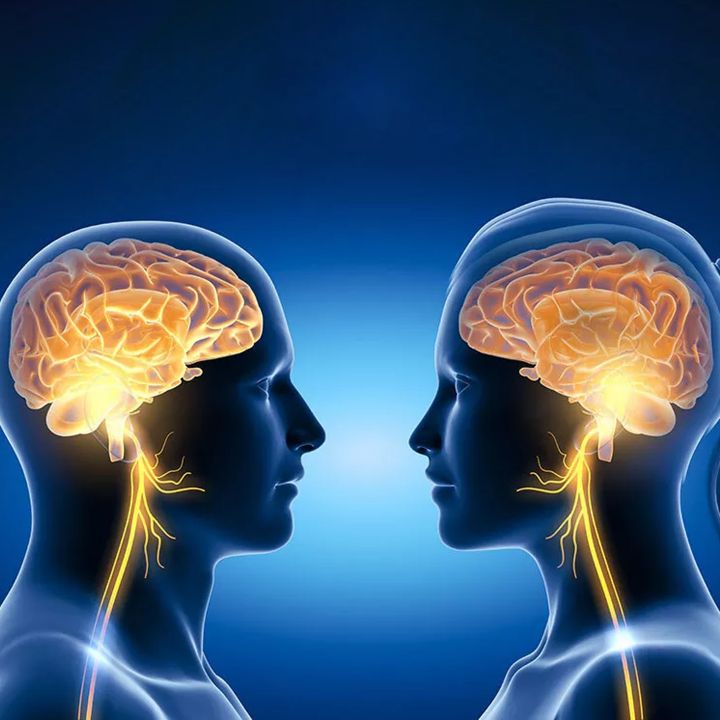 Cerveau : des différences entre filles et garçons dès la grossesse. - Sciences & Santé -
                    Luxe radio