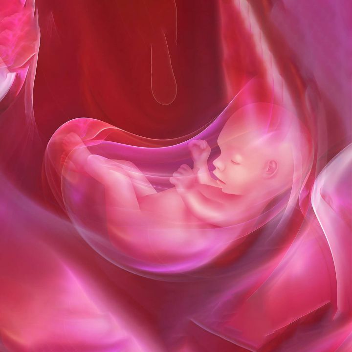 Anomalies placentaires: L'importance d'un diagnostic précoce. - Les Invités de Heure Essentielle -
                    Luxe radio