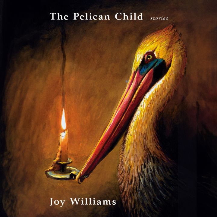 The Pelican Child: Joy Williams signe un recueil puissant - Littérature -
                    Luxe radio