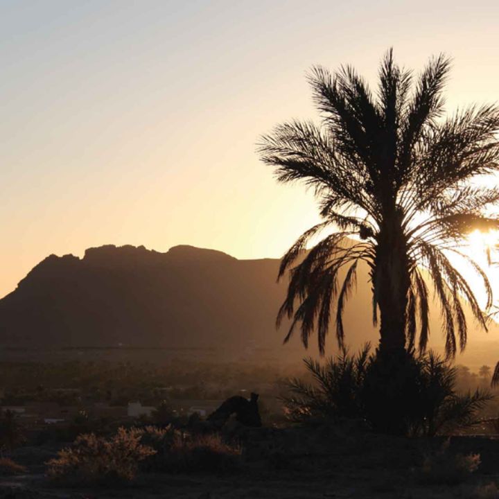 Figuig accueille la 18ᵉ édition du Festival des cultures des oasis - Résonances Culturelles -
                    Luxe radio