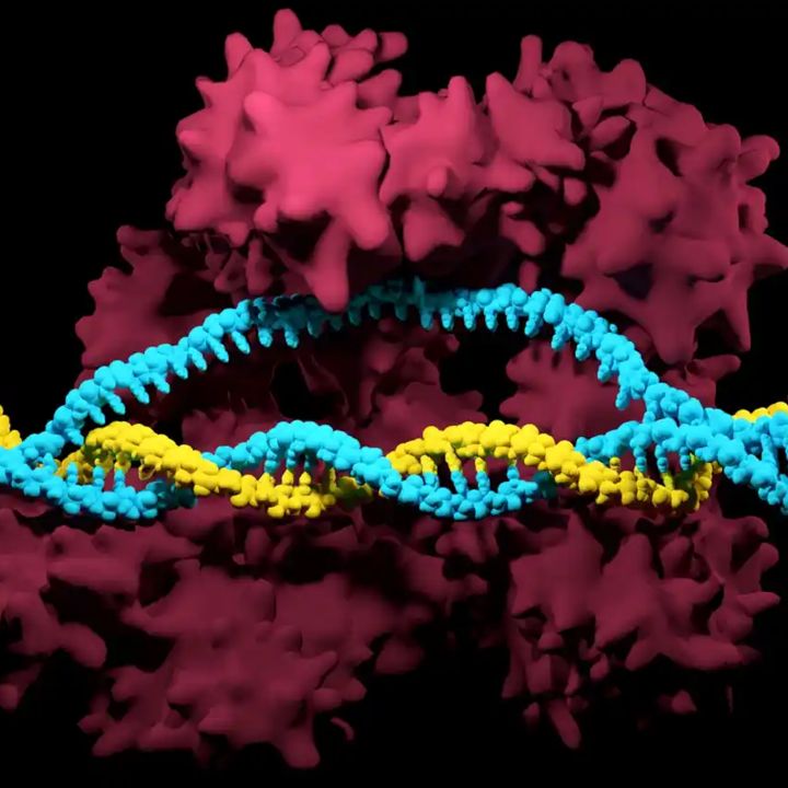 Le premier pays à approuver Crispr dans une thérapie est le Royaume-Uni - Sciences & Santé -
                    Luxe radio