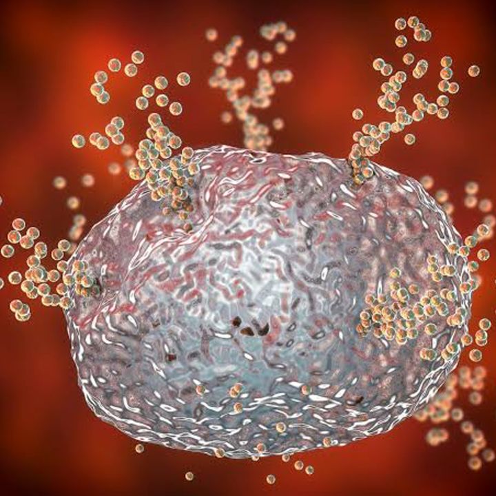 L’histamine n’est pas seulement l’ennemie des allergies… ! - Sciences & Santé -
                    Luxe radio