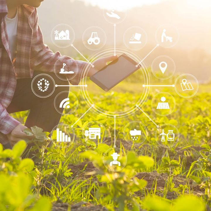 Moderniser l'agriculture sans moderniser la gouvernance: Peut-on vraiment parler de modernisation si on ne réforme pas l’encadrement ? - Le Fil Des Actus -
                    Luxe radio