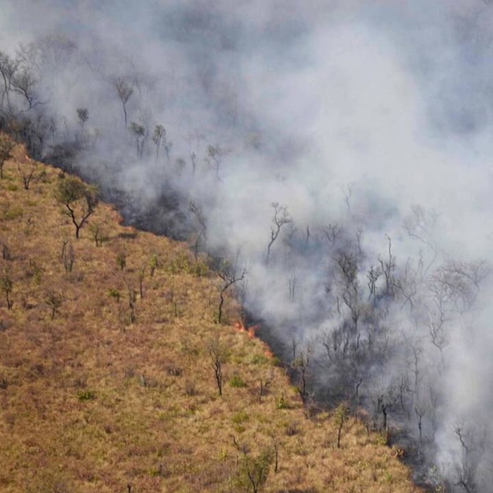 Amazonie : l’ingérence écologique prend le pas sur l’ingérence humanitaire - Les Débats -
                    Luxe radio