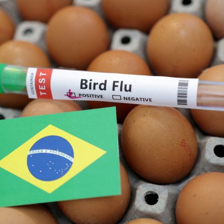 Le Brésil décrète l'état d'urgence sanitaire animale - Sciences & Santé -
                    Luxe radio