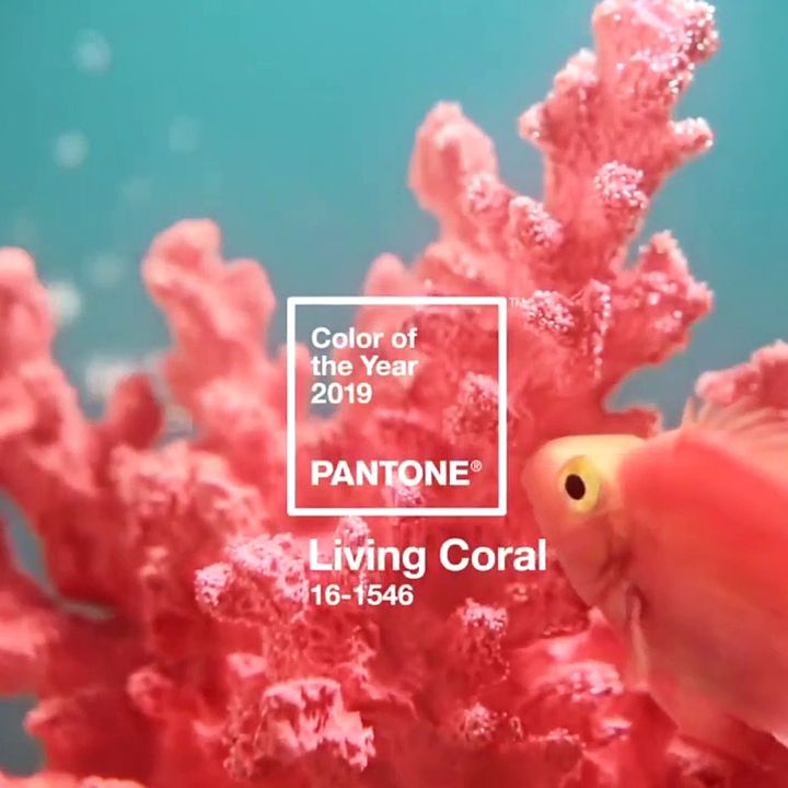 Pantone : Et la couleur de l’année 2019 est le Living Coral - Le Journal du Luxe -
                    Luxe radio