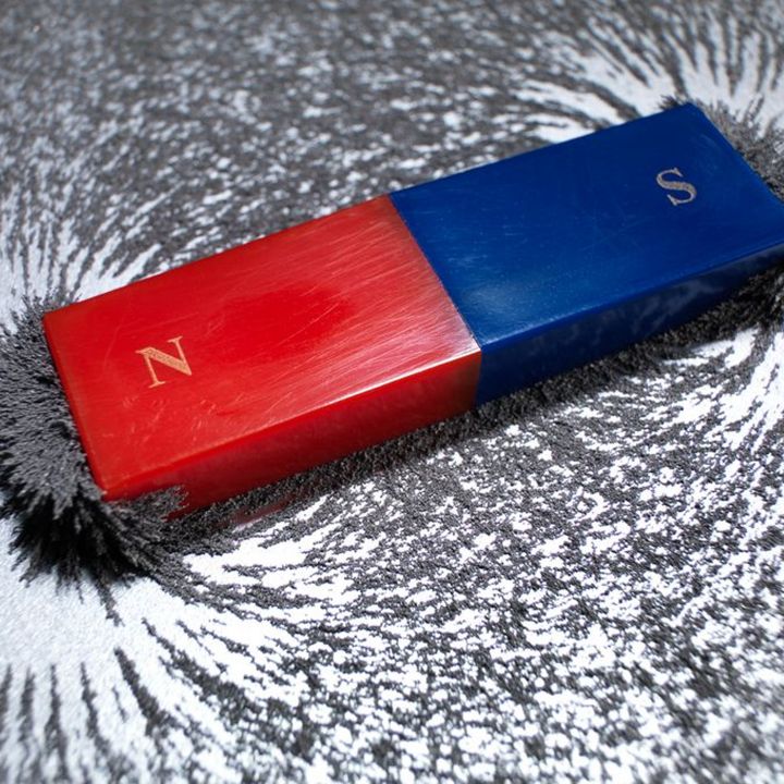 Le magnétisme caché des cellules entre enfin dans le champ des chercheurs… - Sciences & Santé -
                    Luxe radio