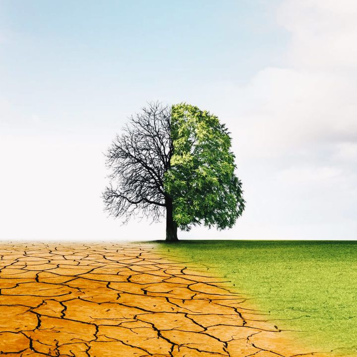 Retour sur les efforts du Maroc en matière de lutte contre le changement climatique - Avec Ou Sans Parure -
                    Luxe radio