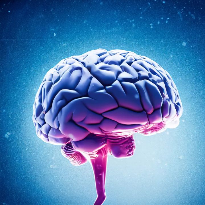 AVC : refroidir le corps pour protéger le cerveau. - Sciences & Santé -
                    Luxe radio