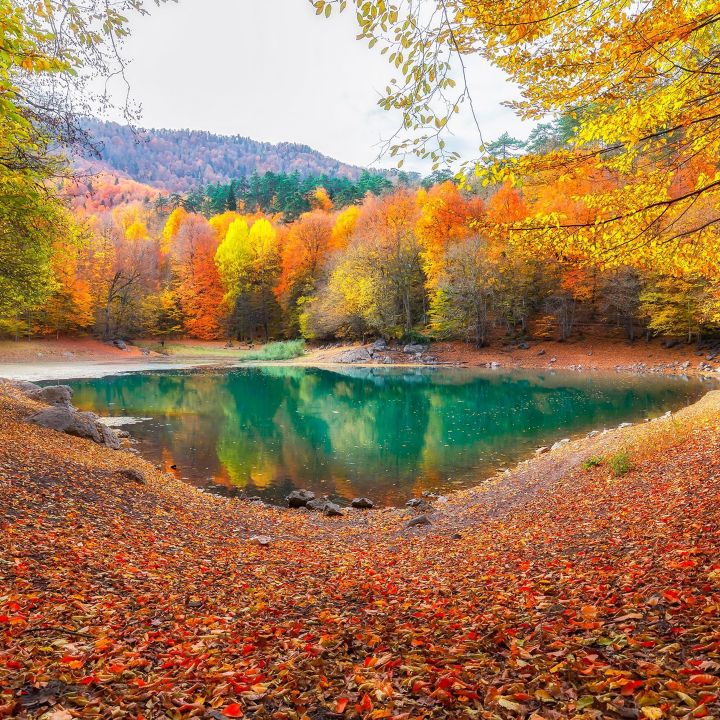 Parc national de Yedigöller … Les Sept Lacs, miroir d’automne en Turquie - Voyage -
                    Luxe radio