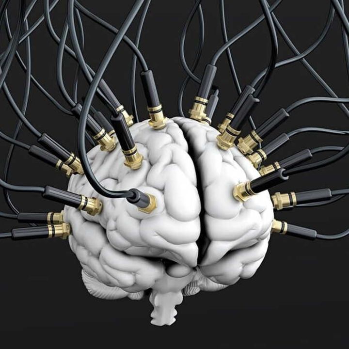 Science Corp veut connecter directement le cerveau humain… à un ordinateur - Le Monde AI -
                    Luxe radio