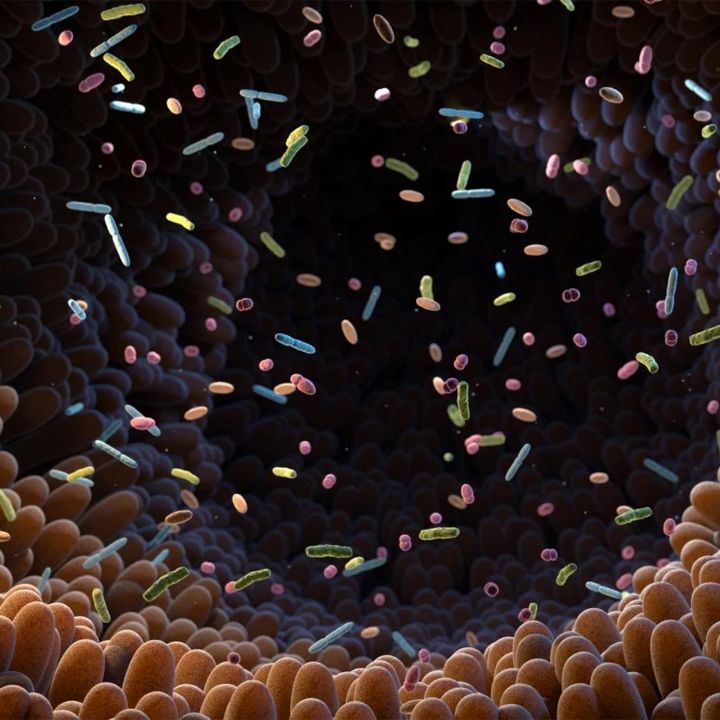 À Rabat, une avancée médicale pour les maladies digestives - Sciences & Santé -
                    Luxe radio