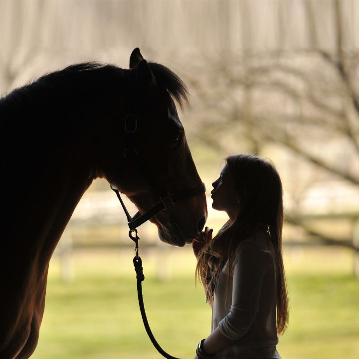 Équithérapie… le cheval, miroir de nos émotions - Bien-Être -
                    Luxe radio