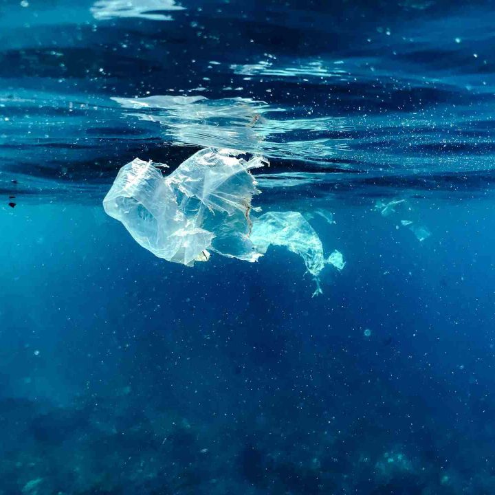 27 millions de tonnes: l'Atlantique Nord asphyxié par les nanoplastiques invisibles - Sciences & Santé -
                    Luxe radio