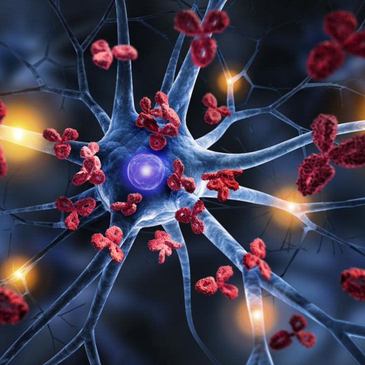 Des cellules tueuses "boostées" pour traiter l’auto-immunité - Sciences & Santé -
                    Luxe radio
