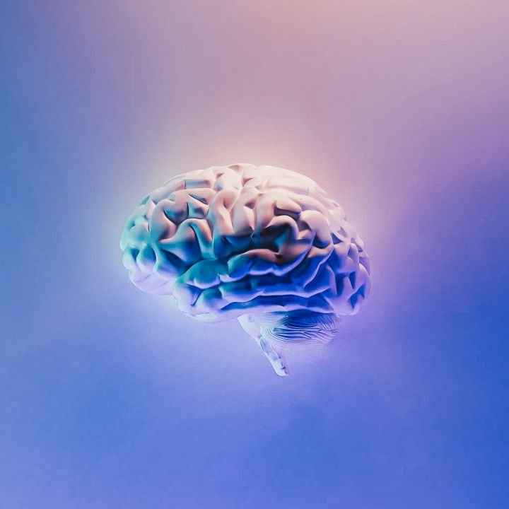 Qu’est-ce que l’intelligence, quelles en sont les formes, et sait-on vraiment la mesurer ? - Avec Ou Sans Parure -
                    Luxe radio