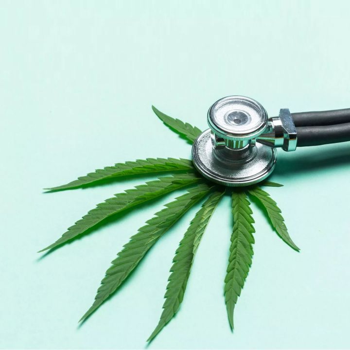 Cannabis pour usage thérapeutique : sur quelles bases scientifiques s'appuie la légalisation - Avec Ou Sans Parure -
                    Luxe radio