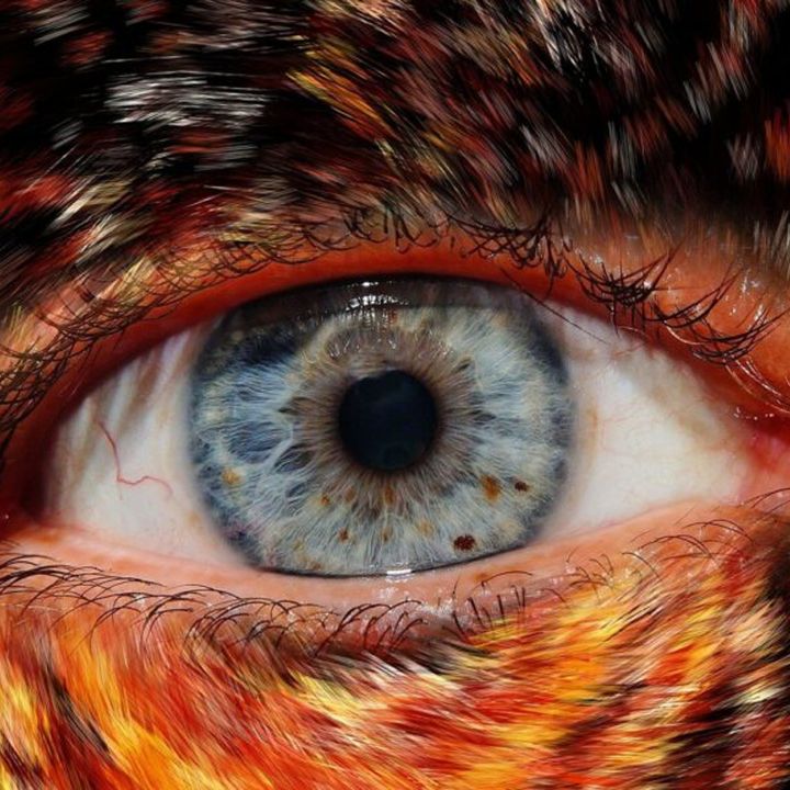 Focus sur la lycanthropie clinique, ou quand le cerveau croit devenir un loup ! - Sciences & Santé -
                    Luxe radio